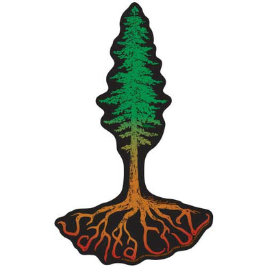 Santa Cruz Redwood Roots Sticker