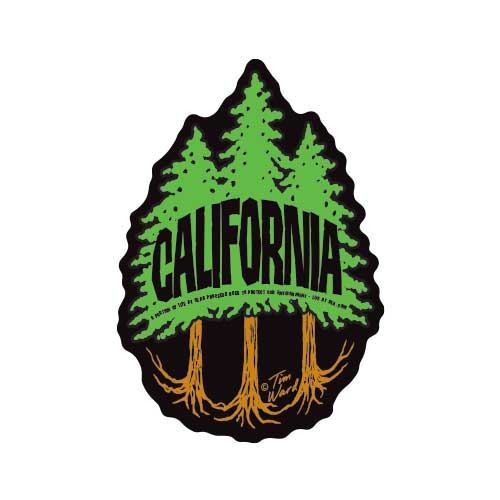 California Redwood 3 Trees Magnet