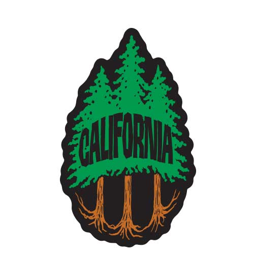 California Redwood 3 Trees Patch